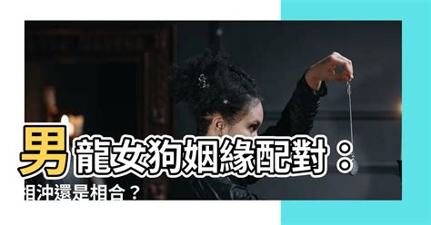 龍女狗男|【男龍女狗】男龍女狗婚配，愛情道路上的神仙眷侶！